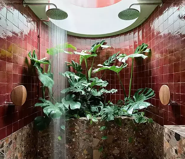 futuristic showers